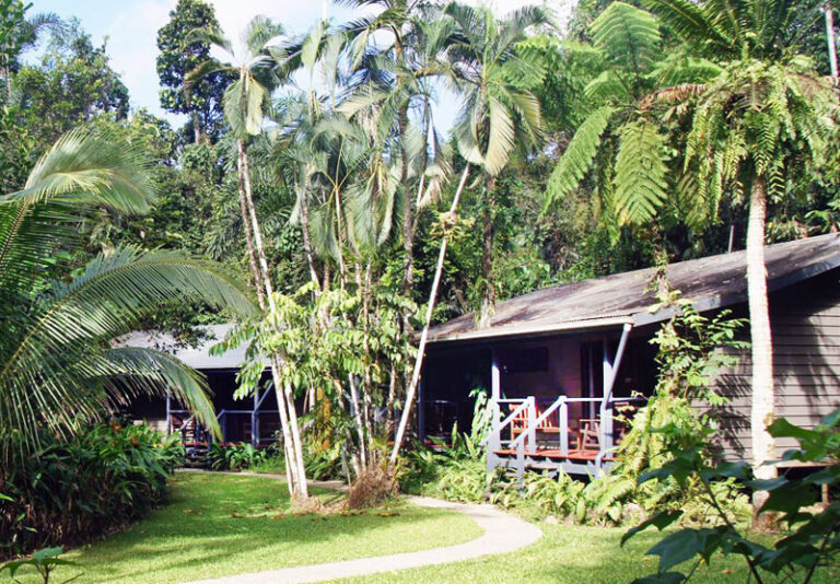 Heritage Lodge in the Daintree - Rainforest Accommodation